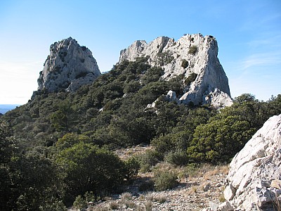 20120122_ 016.jpg